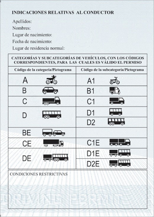 QUY ĐỊNH MẪU GIẤY PHÉP LÁI XE QUỐC TẾ- Ảnh 6.