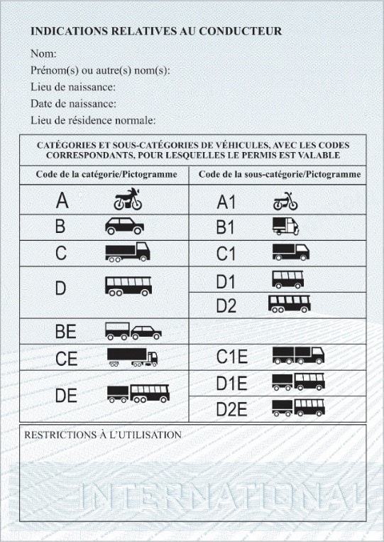 QUY ĐỊNH MẪU GIẤY PHÉP LÁI XE QUỐC TẾ- Ảnh 8.