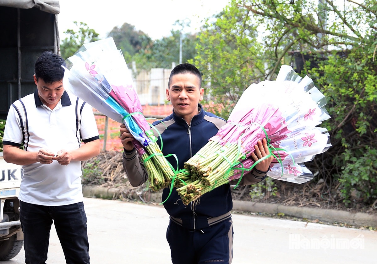 W_lang-hoa-tay-tuu-tat-bat-phuc-vu-ngay-8-3-11.jpg