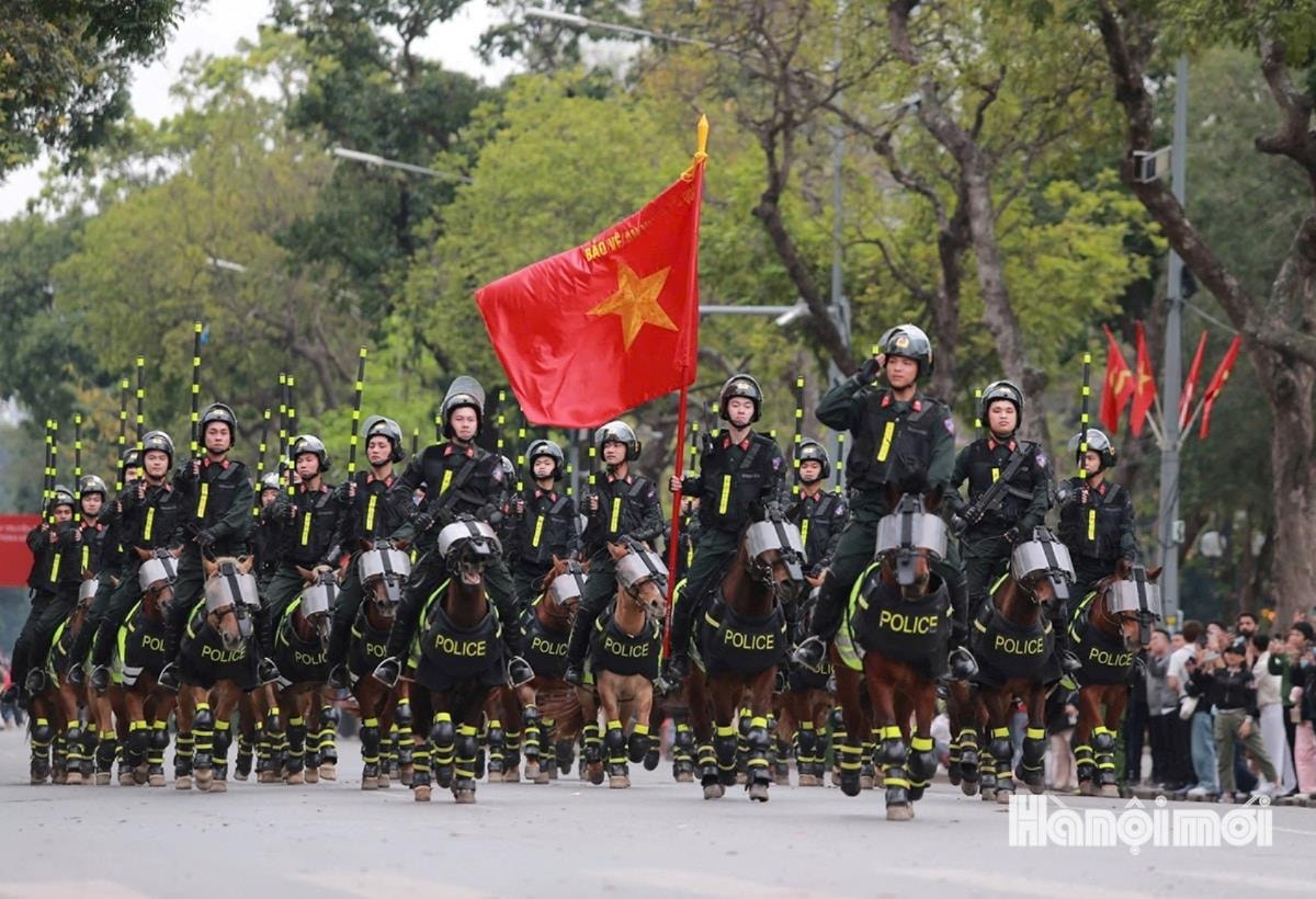 Cận cảnh màn trình diễn của kỵ binh, cảnh khuyển bên hồ Hoàn Kiếm