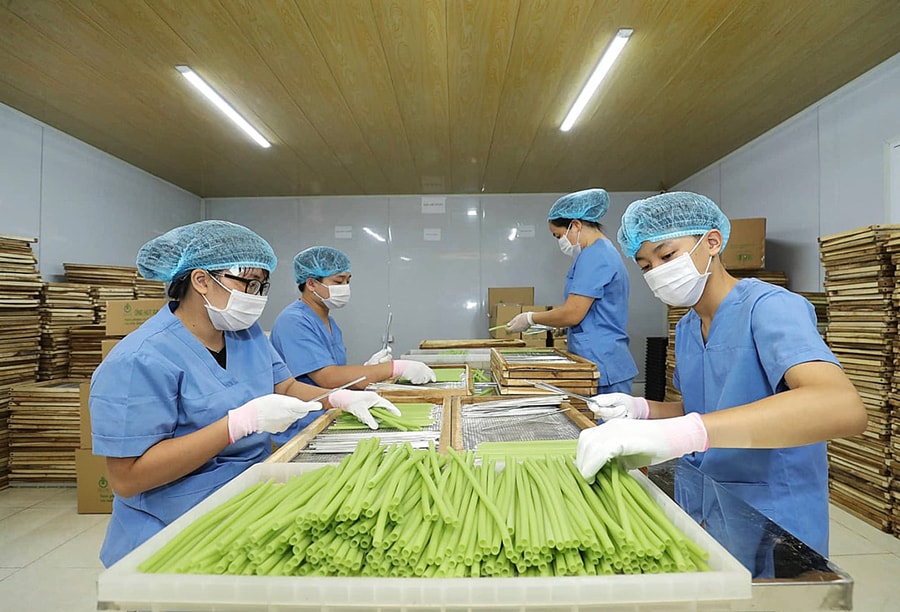ong-hut.jpg