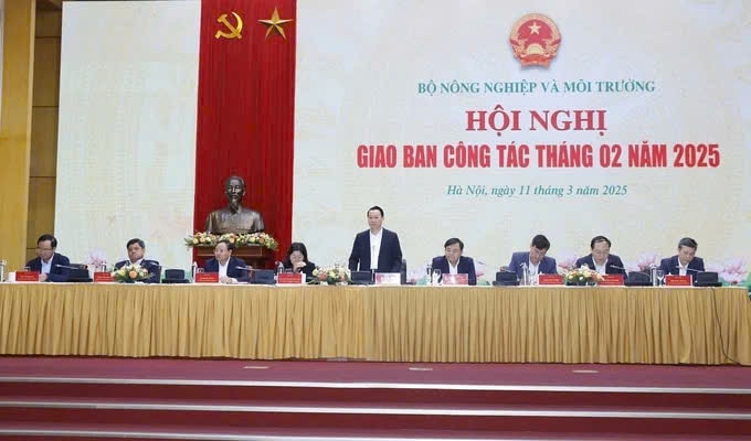 quang-canh-hoi-nghi-11-3.jpg