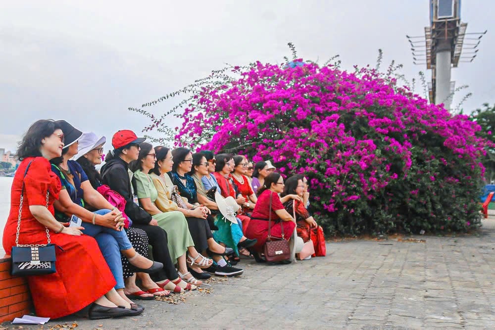Ngay cả những người trung niên cũng tranh thủ “bắt trend” cùng giàn hoa giấy ven bờ sông Hàn (Ảnh Đ.Minh) Ngay cả những người trung niên cũng tranh thủ “bắt trend” cùng giàn hoa giấy ven bờ sông Hàn (Ảnh Đ.Minh)