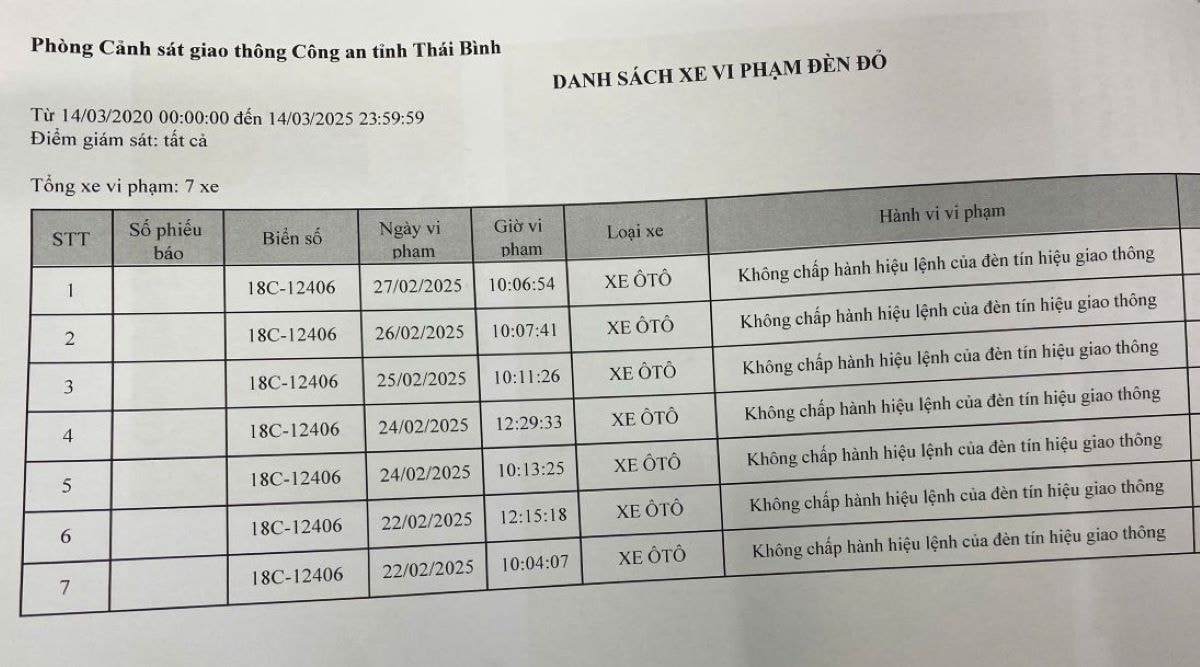 Danh sách cụ thể 7 lần vi phạm của nữ tài xế. Nguồn: