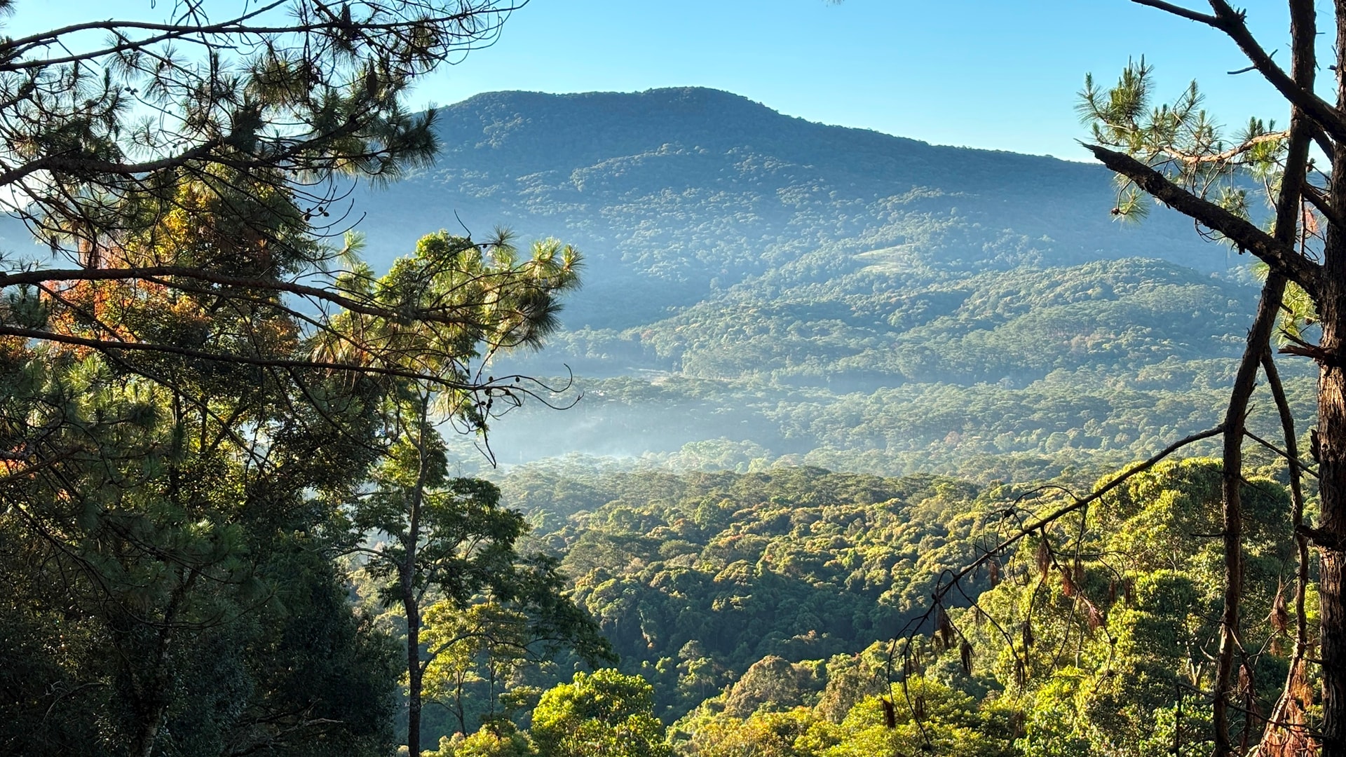 a305.dalat.jpg