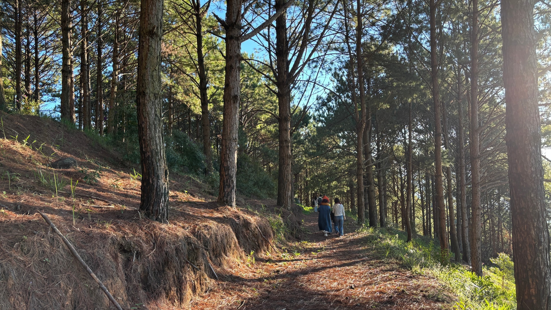 a306.dalat.jpg