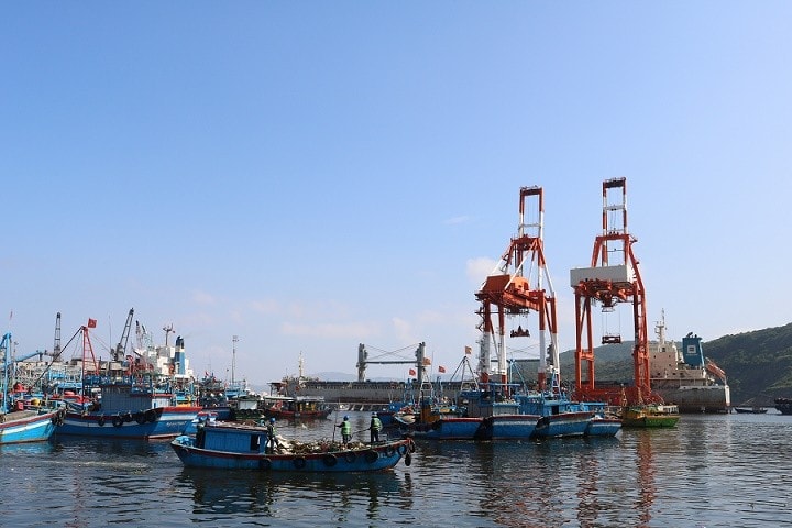 .  Bình Định tăng cường các biện pháp triển khai chống IUU, kiên quyết cấm vươn khơi đối với các tàu cá không lắp đặt thiết bị giám sát hành trình (Ảnh binhdinh.gov)