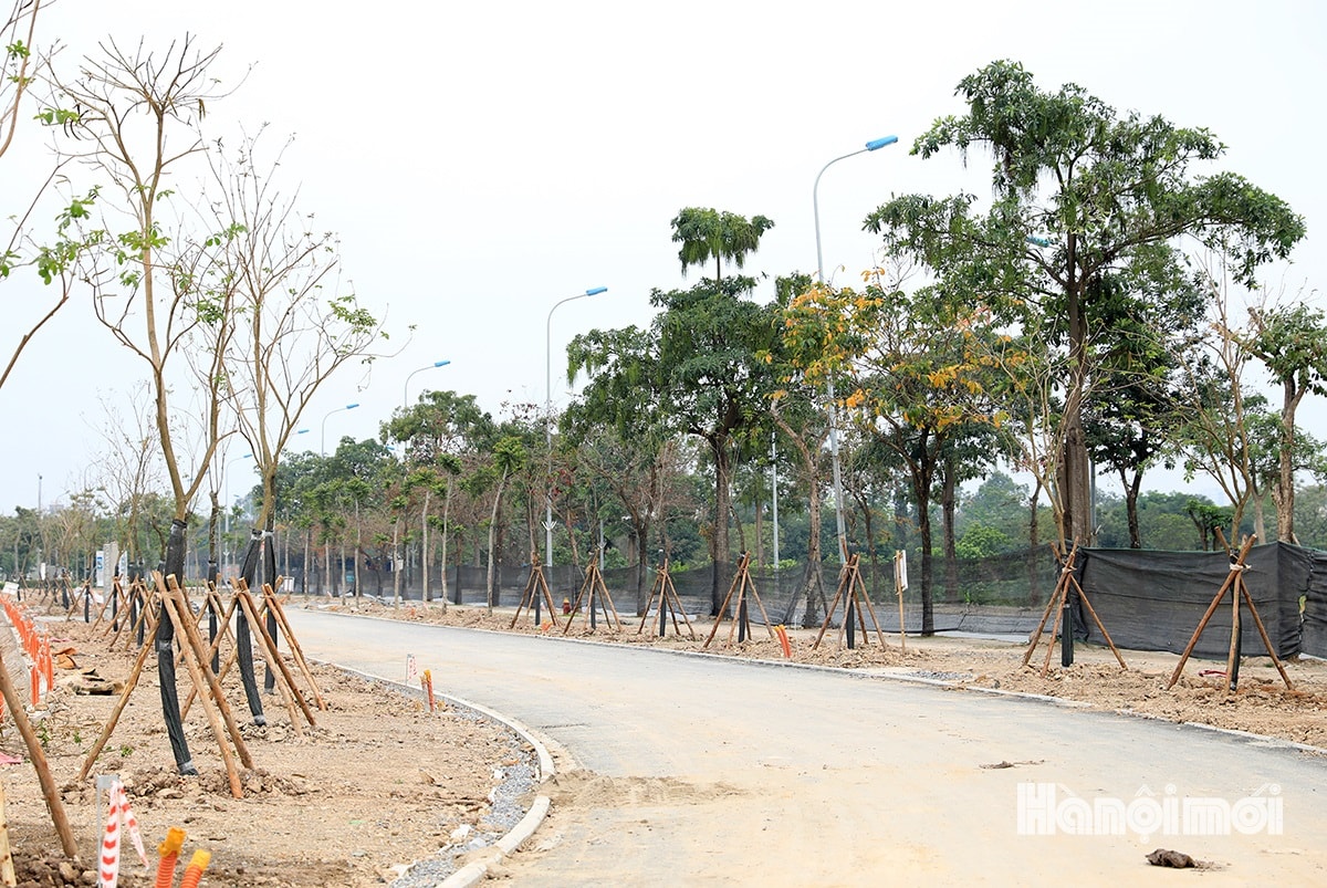 W_cong-vien-gia-lam-12.jpg