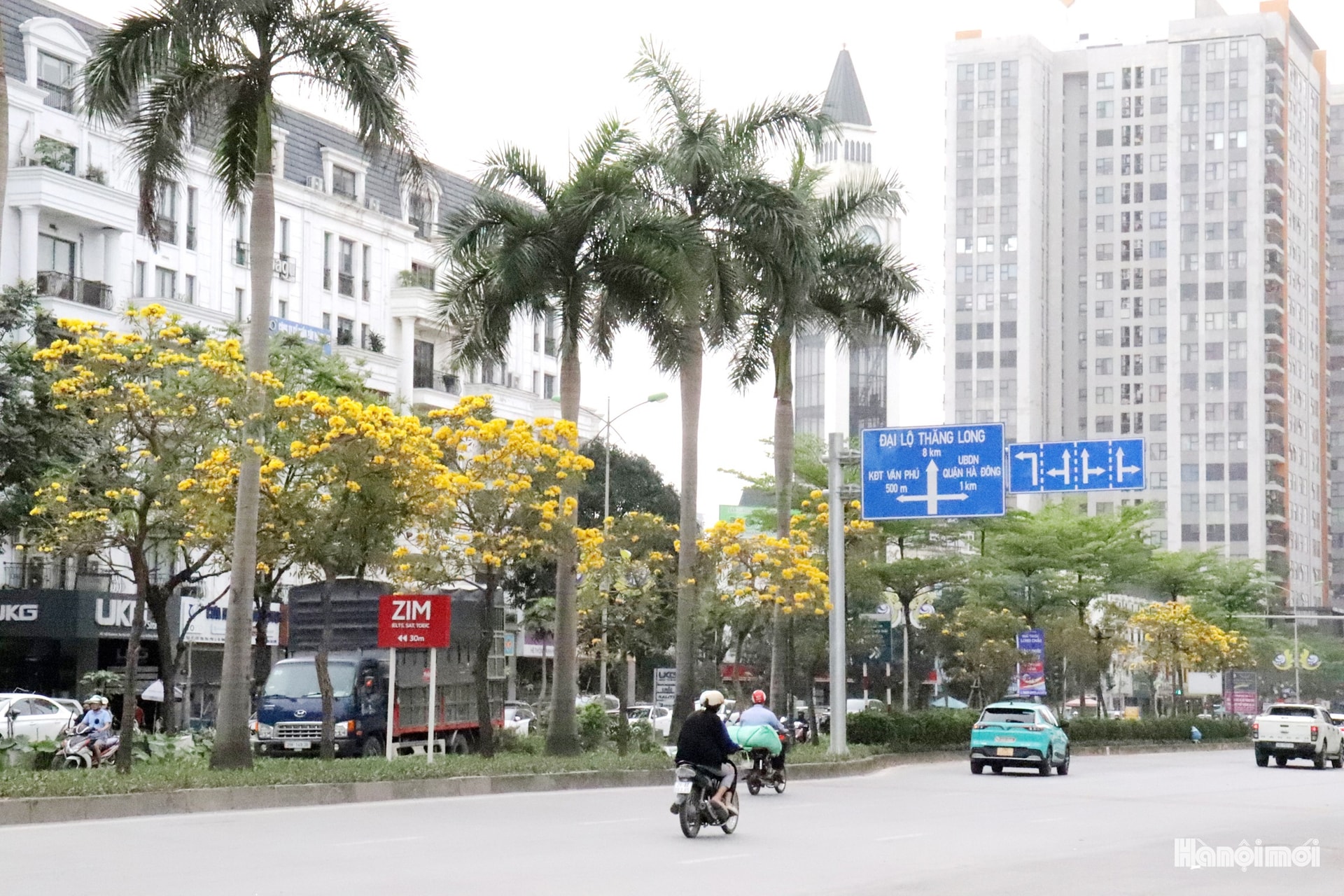 W_hoa-phong-linh-7-.jpg