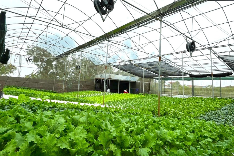 agribank13.jpg