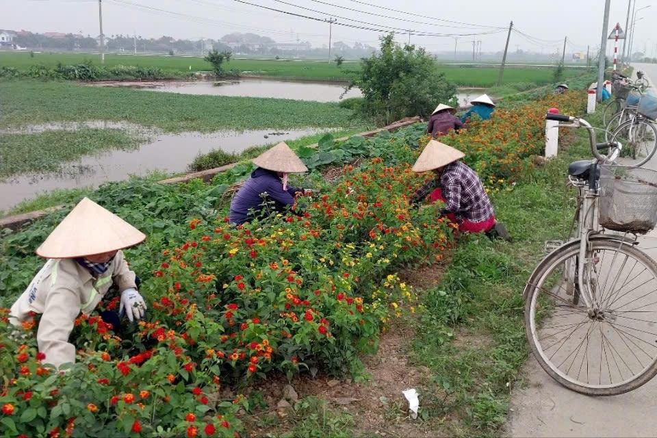 duong-hoa.jpg