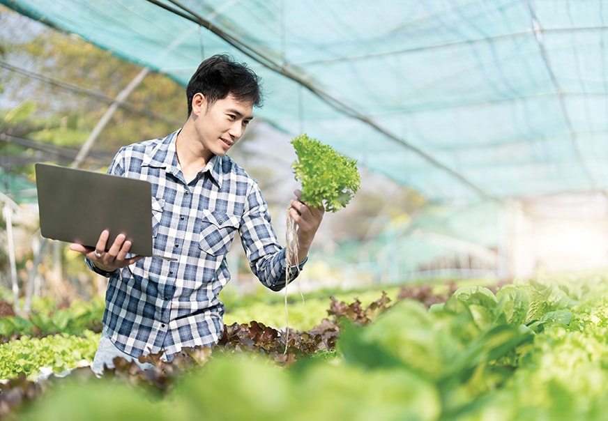 Để trở thành hình mẫu về nông nghiệp hiện đại