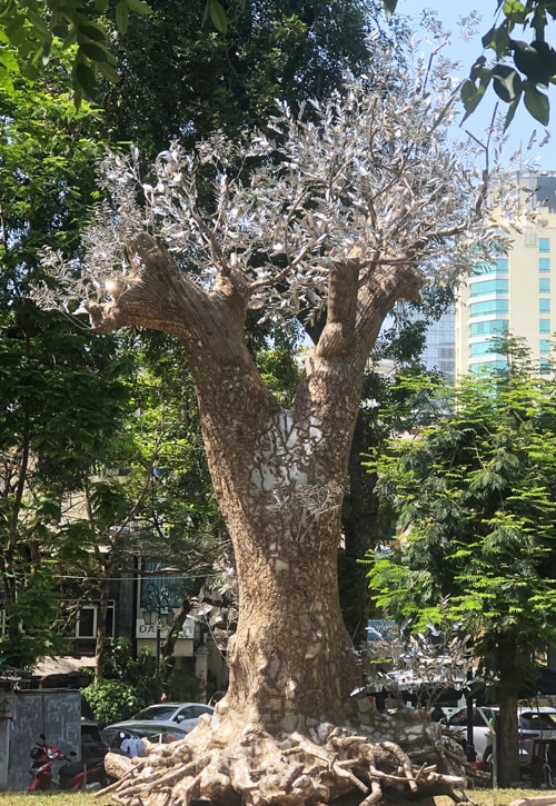 hoi-sinh.jpg