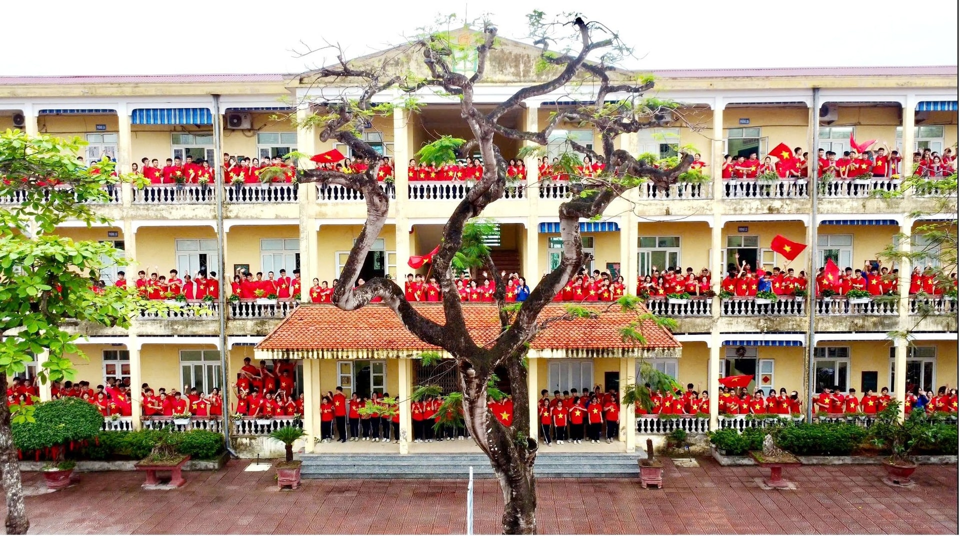 a254.hai-phong.jpg