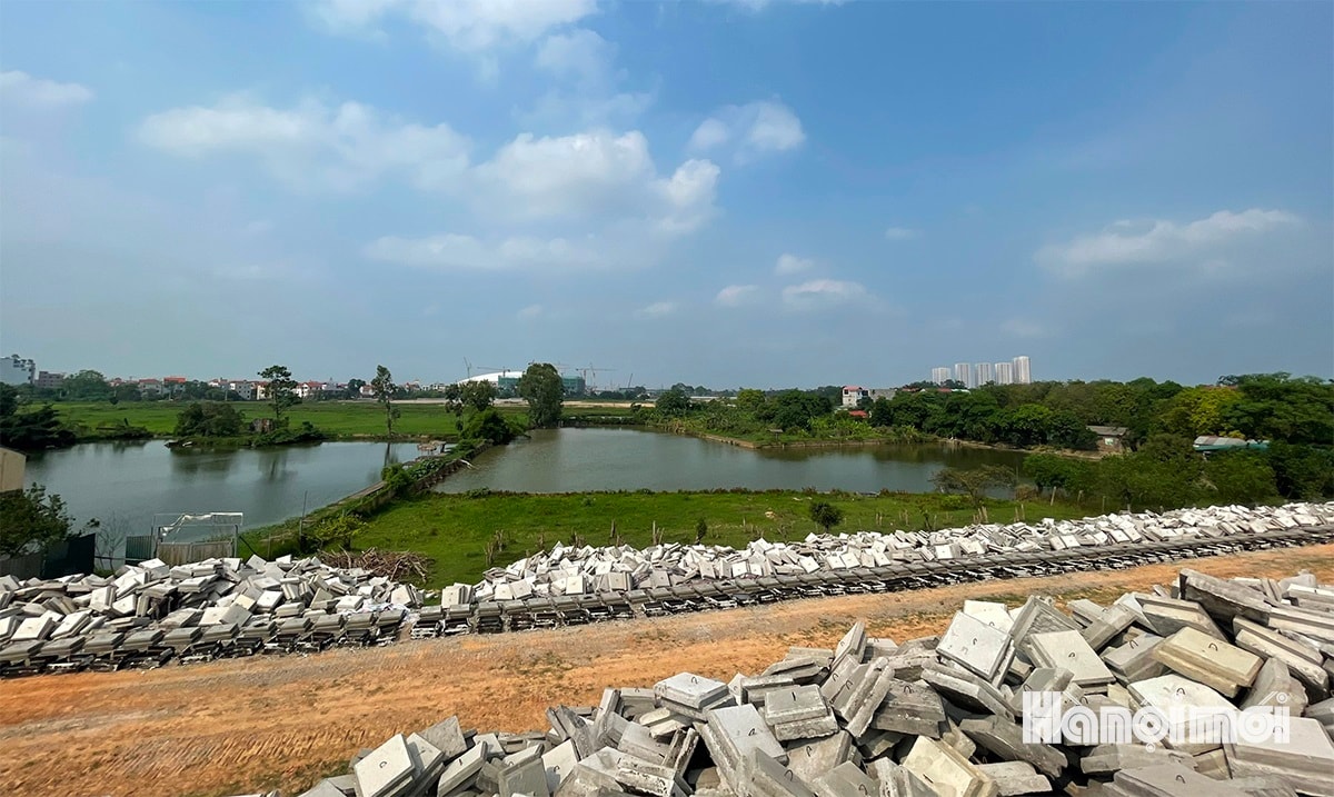 W_cau-tu-lien-10.jpg