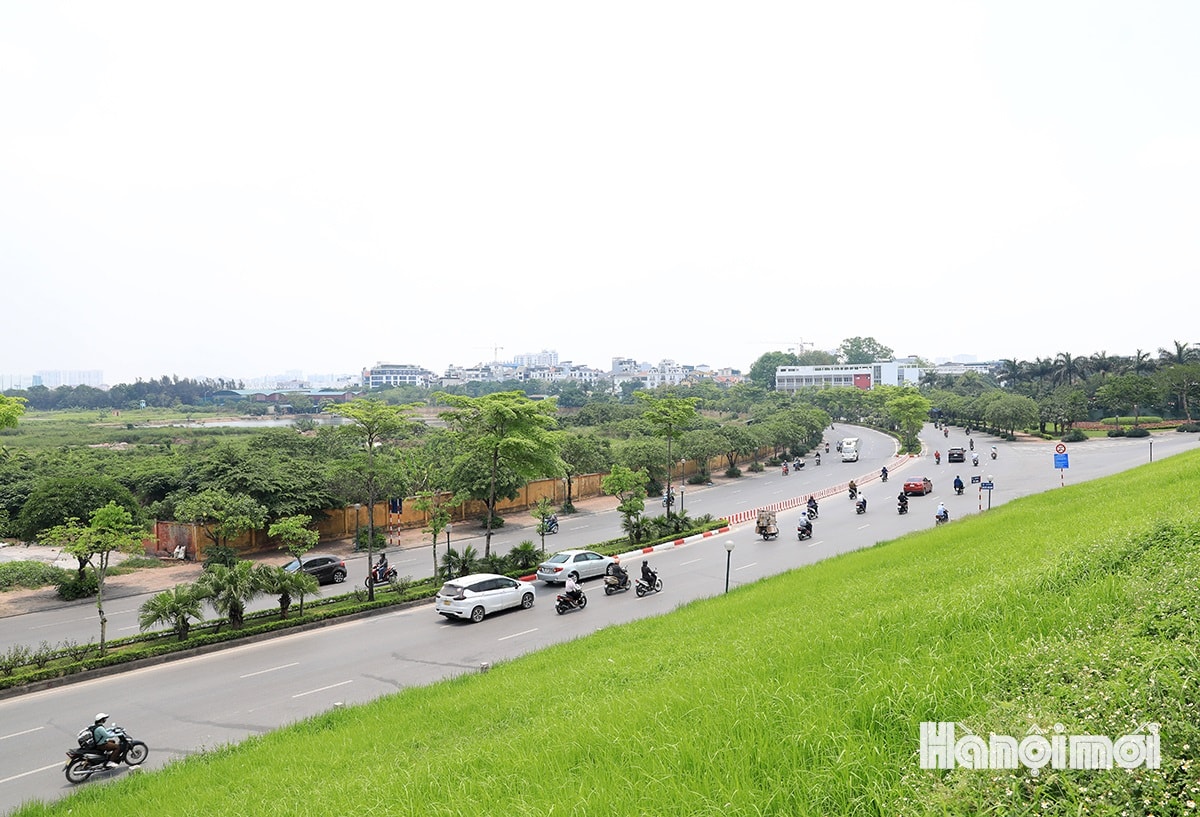 W_cau-tran-hung-dao-12.1.jpg