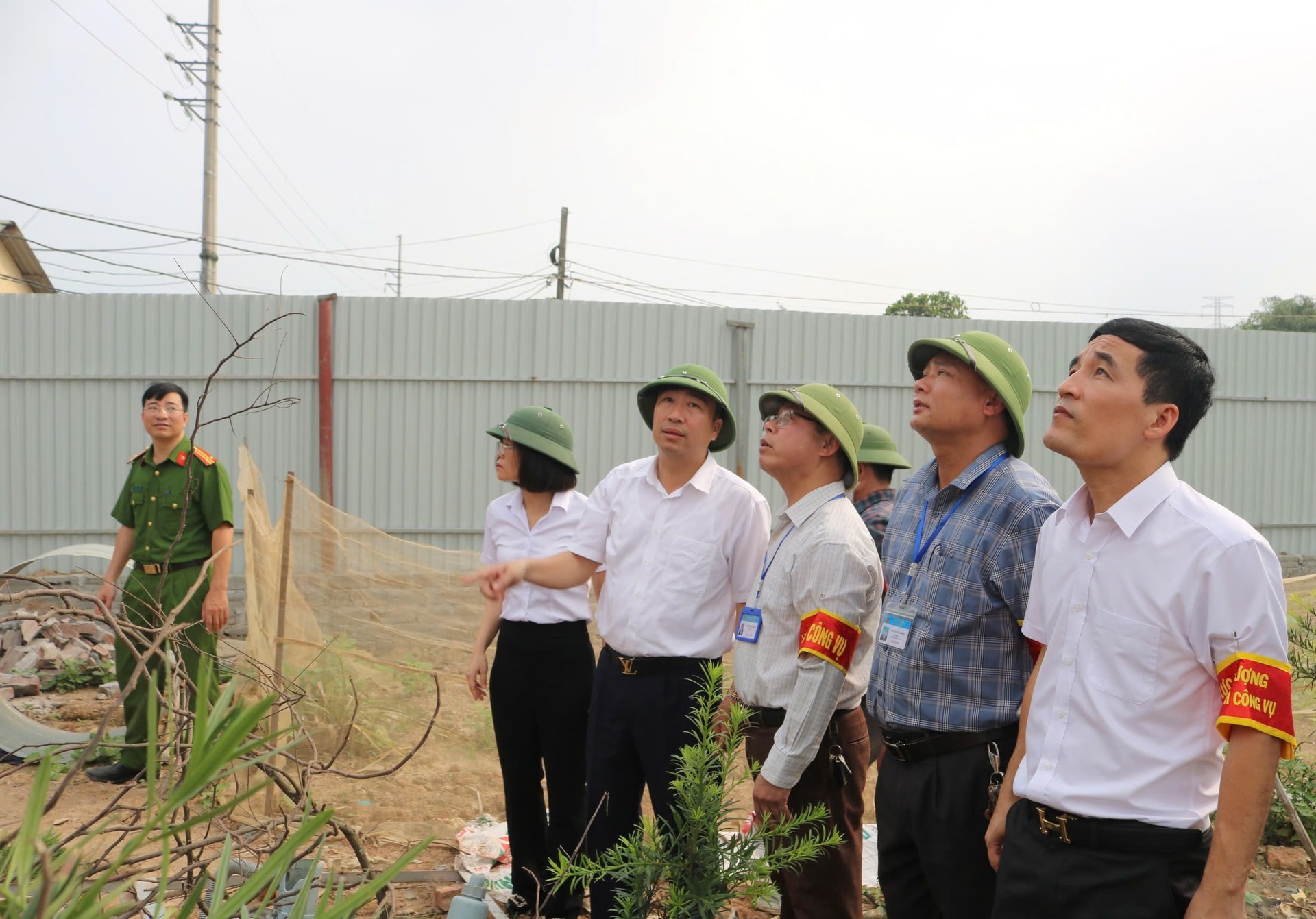 1quoc-oai.jpg