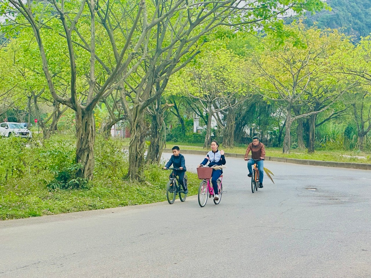ninh-binh.jpg