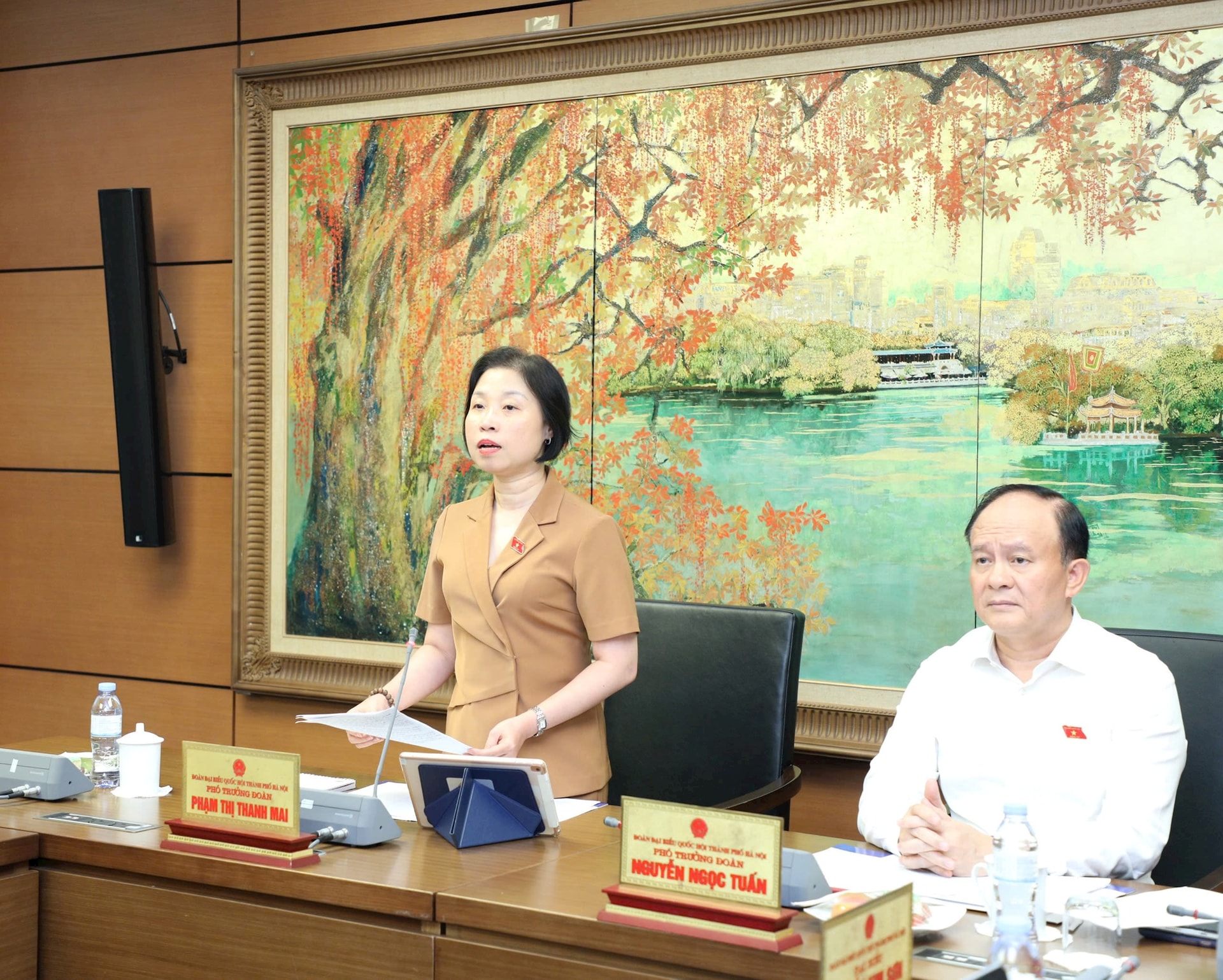thanh-mai.jpg