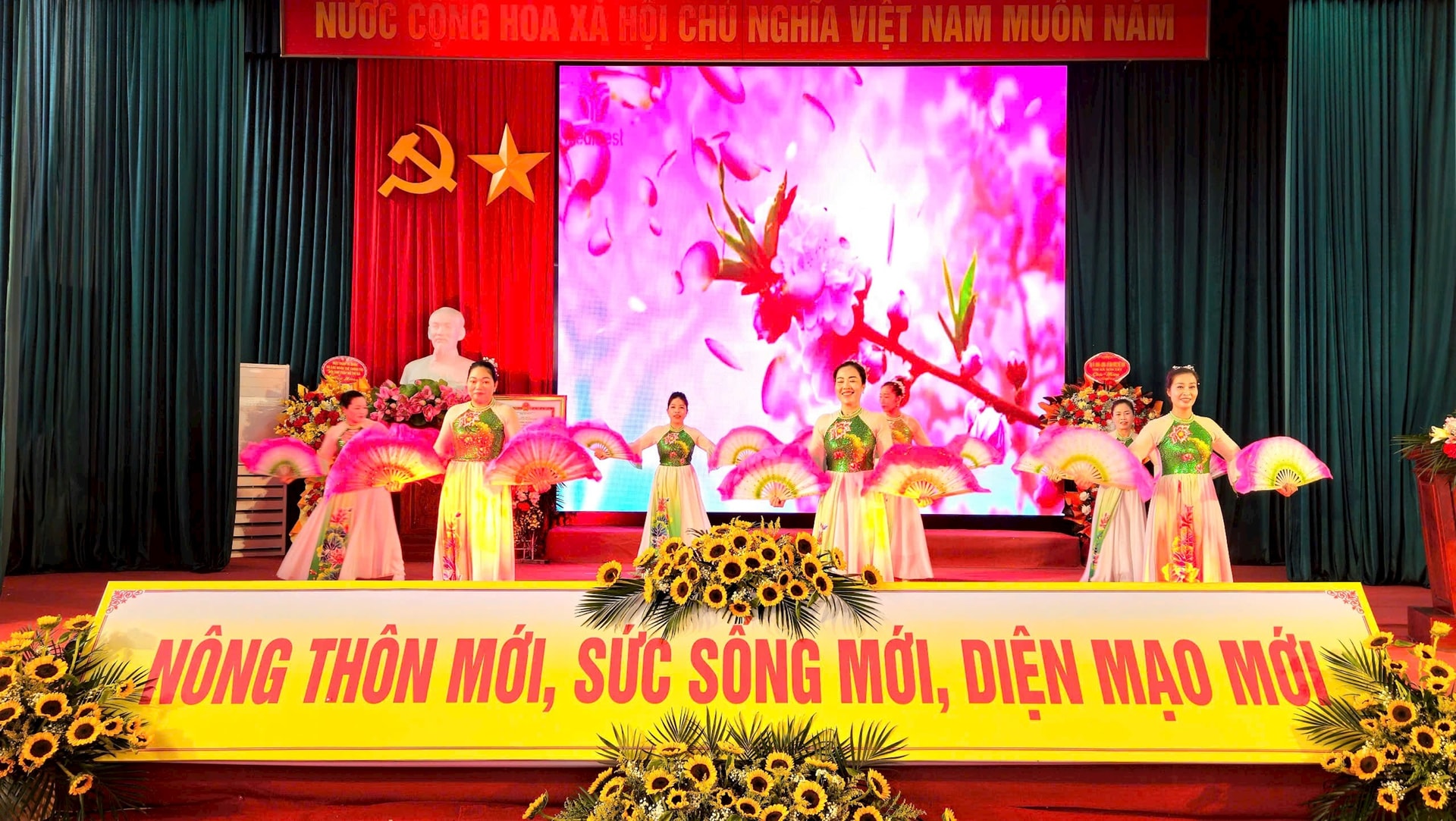 son-tay-tm-vn8.jpg