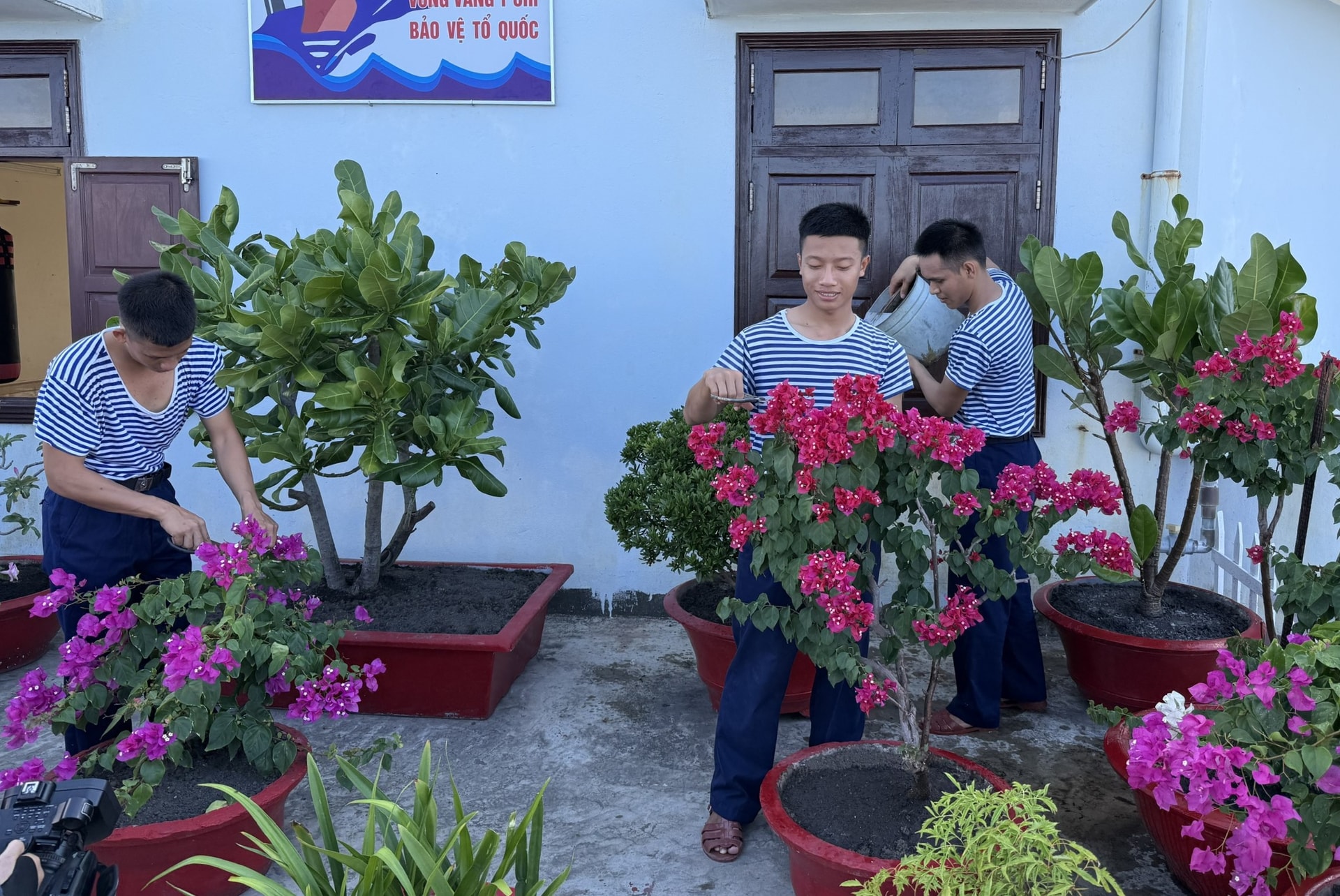 Hoa vẫn nở trên sóng