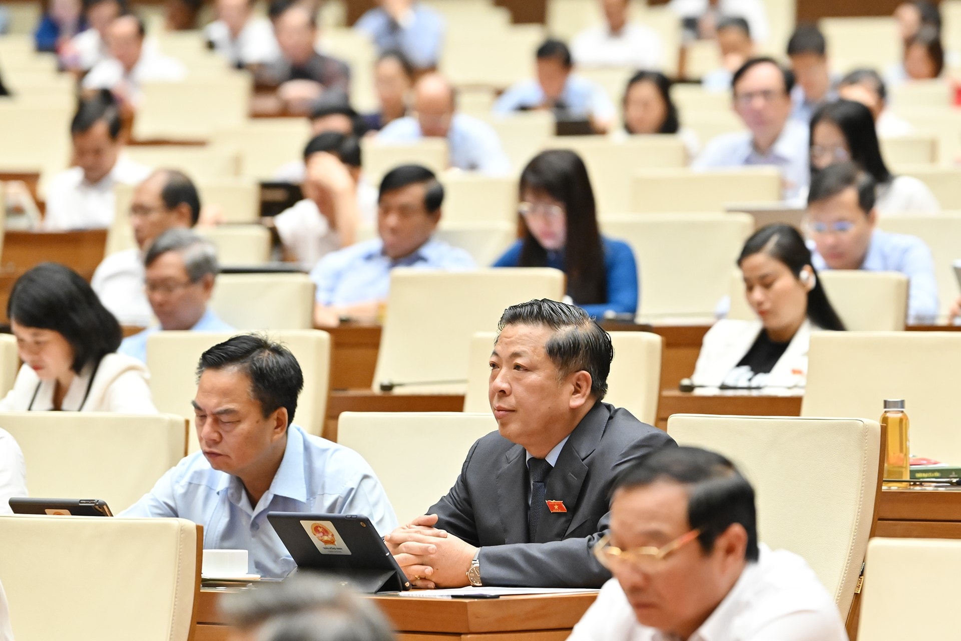 dai-bieu-1.jpg