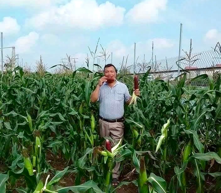 vinh-2.jpg