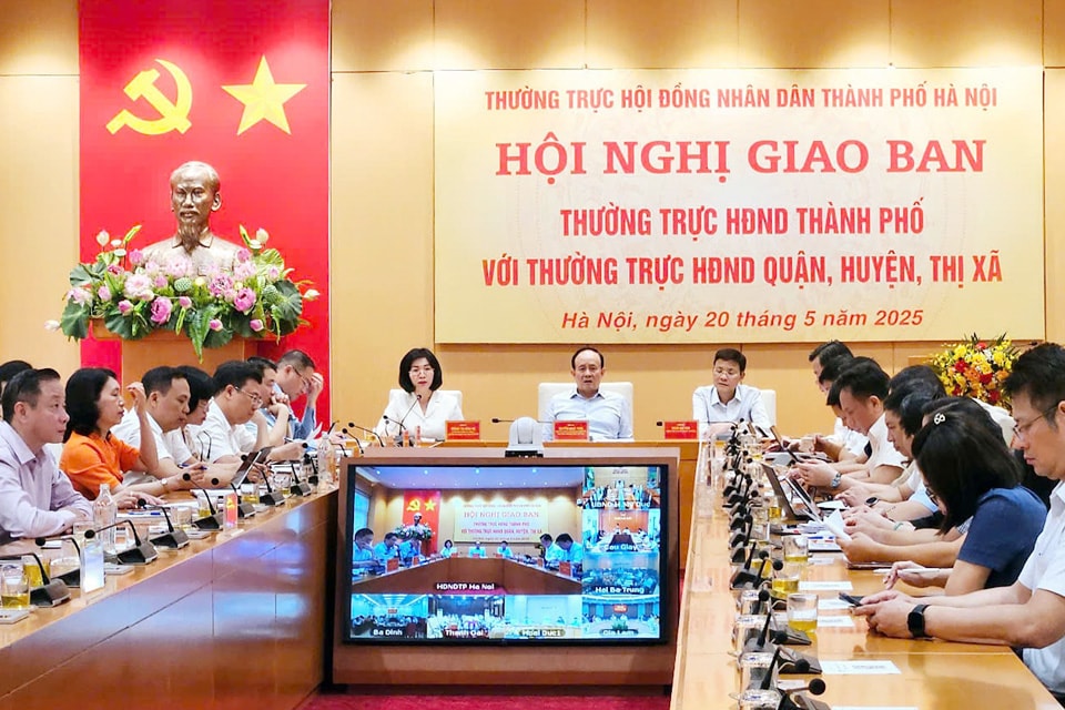hdnd.jpg