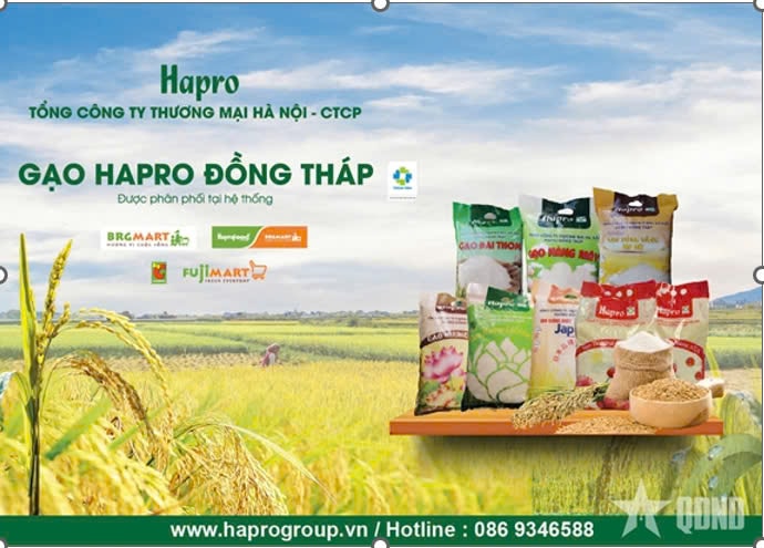 hapro3.jpg