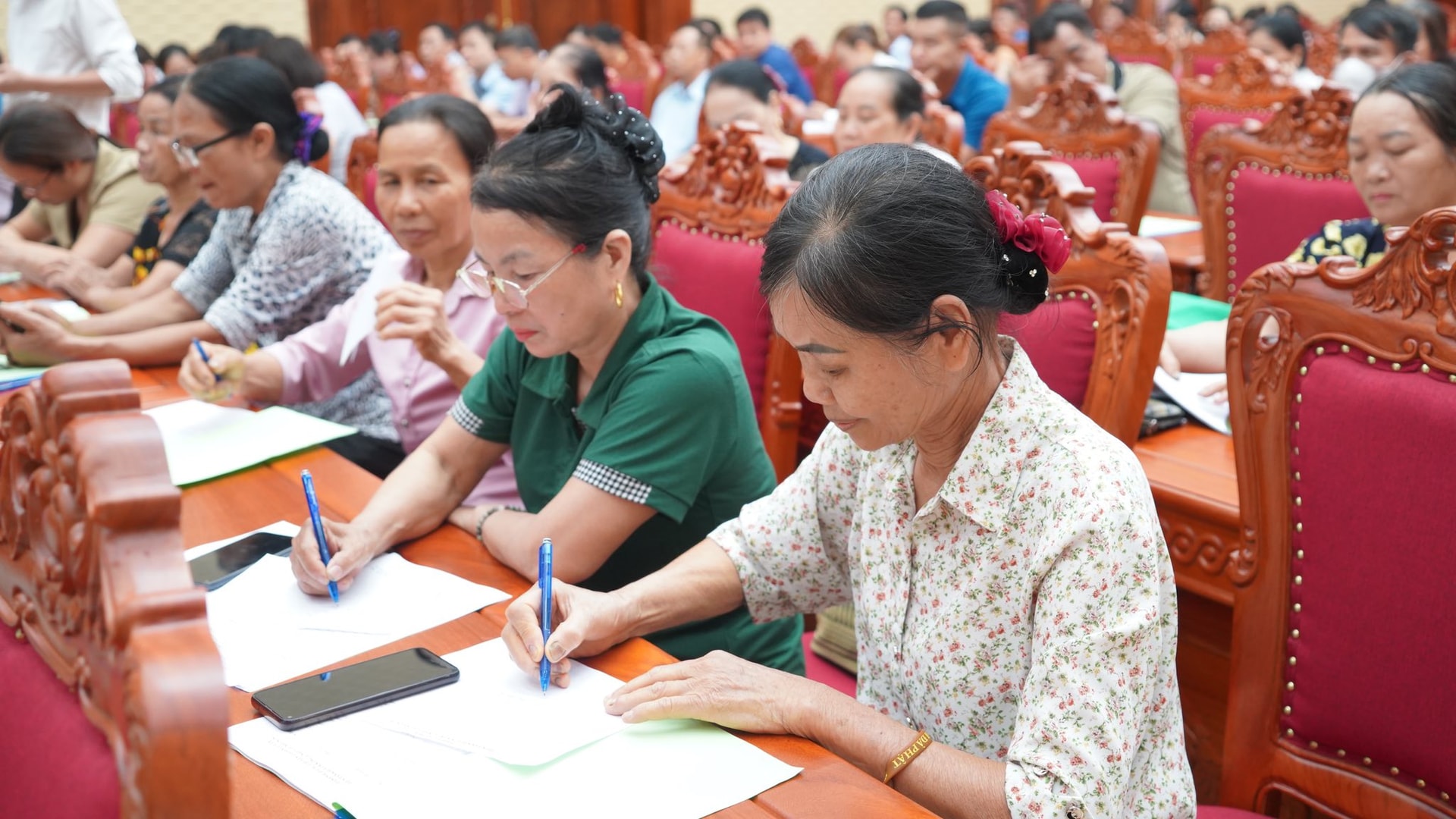 quang-canh-dien-dan.jpg