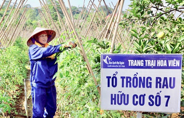 trong-rau.jpg