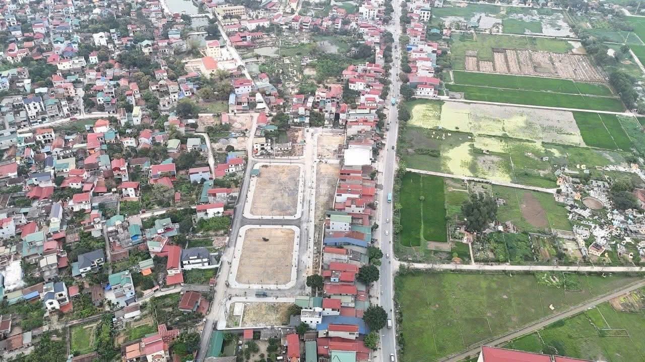 dau-gia-dat-truong-thinh2.jpg