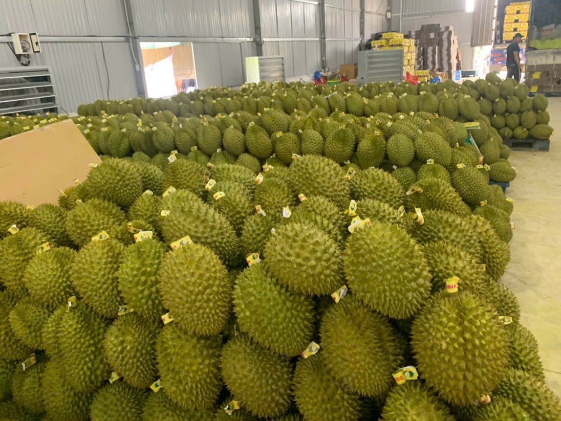 sau-rieng.jpg