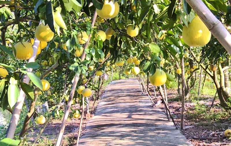 ពេលរសៀល-at-van-ha.jpg
