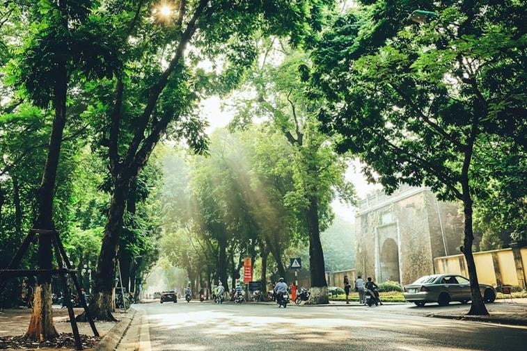 [Podcast tản văn] Chuyện quanh cây sấu trên phố