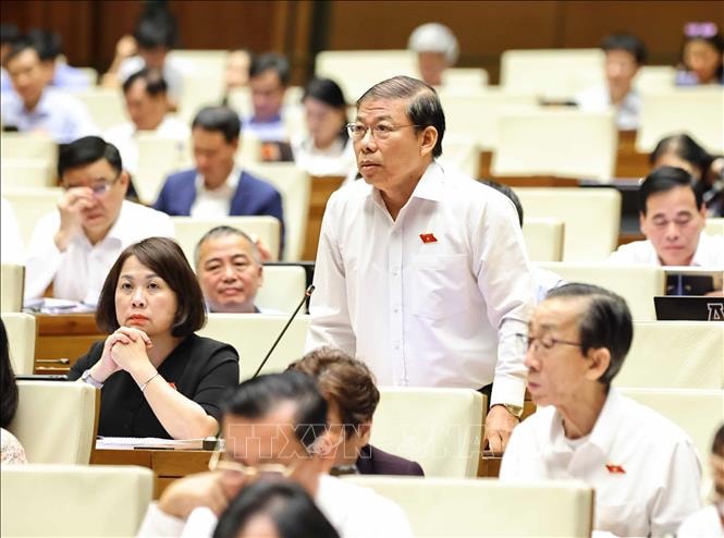 dai-bieu-nguyen-thanh-sang-doan-thanh-pho-ho-chi-minh-phat-bieu-thao-luan-tai-hoi-truong.-anh-ttxvn.jpg
