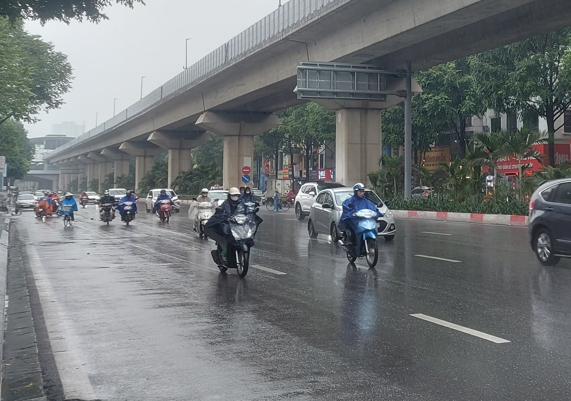 ha-noi-mua-to.jpg