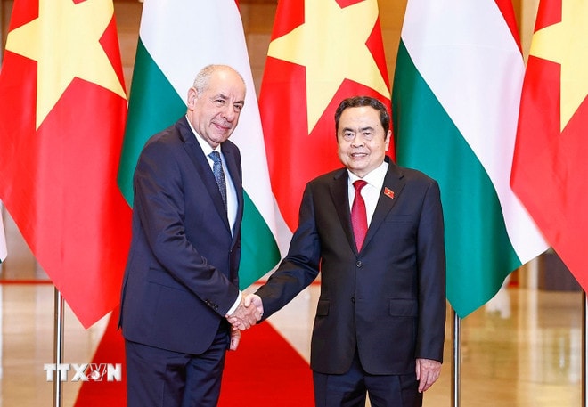 ttxvn-chu-tich-quoc-hoi-tran-thanh-man-hoi-kien-tong-thong-hungary3.jpg