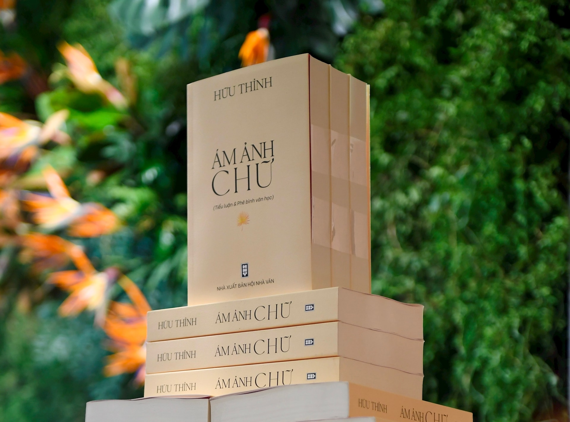 Collection of essays and literary criticism