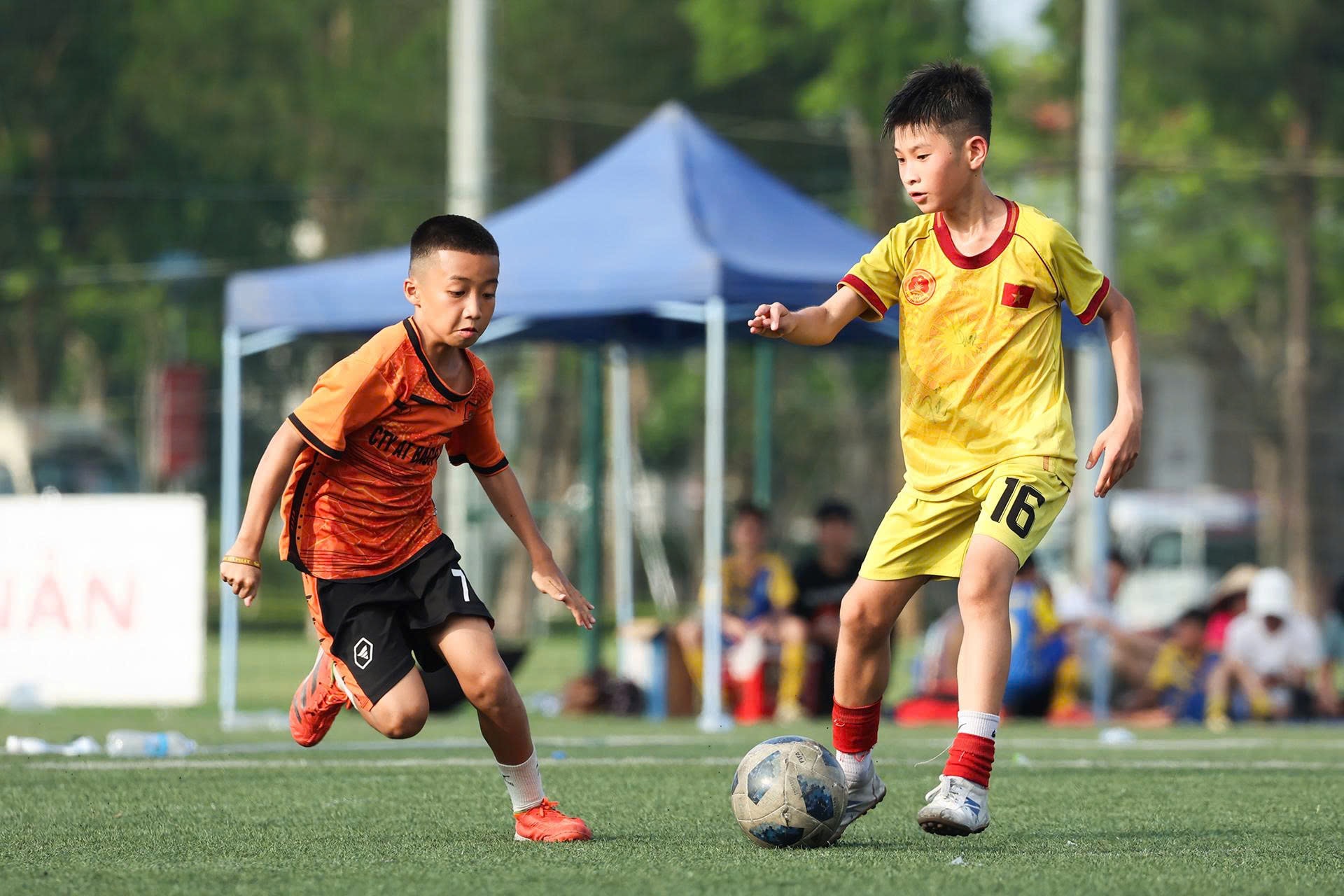 31-u11.jpg