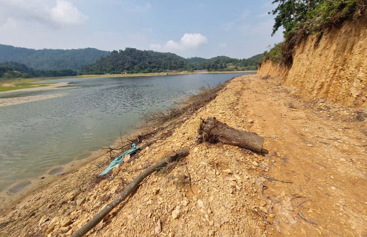 hien-trang-cac-lo-rung-thong-10.1-10.5a-khoanh-4-lo-17.3-khoanh-10-tai-xa-nam-son-huyen-soc-son-bi-san-gat-dat-trai-phep..jpg