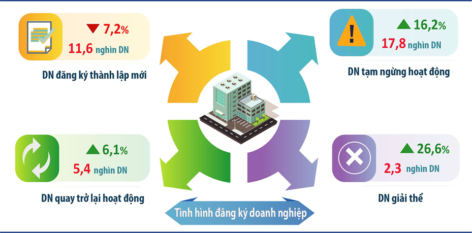 Tình hình doanh nghiệp 5 tháng năm 2025. Ảnh: CCTK