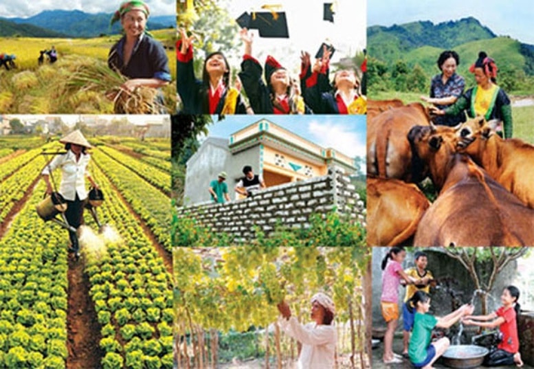 Thành lập Ban Chỉ đạo Trung ương các chương trình mục tiêu quốc gia giai đoạn 2021 - 2025- Ảnh 1.