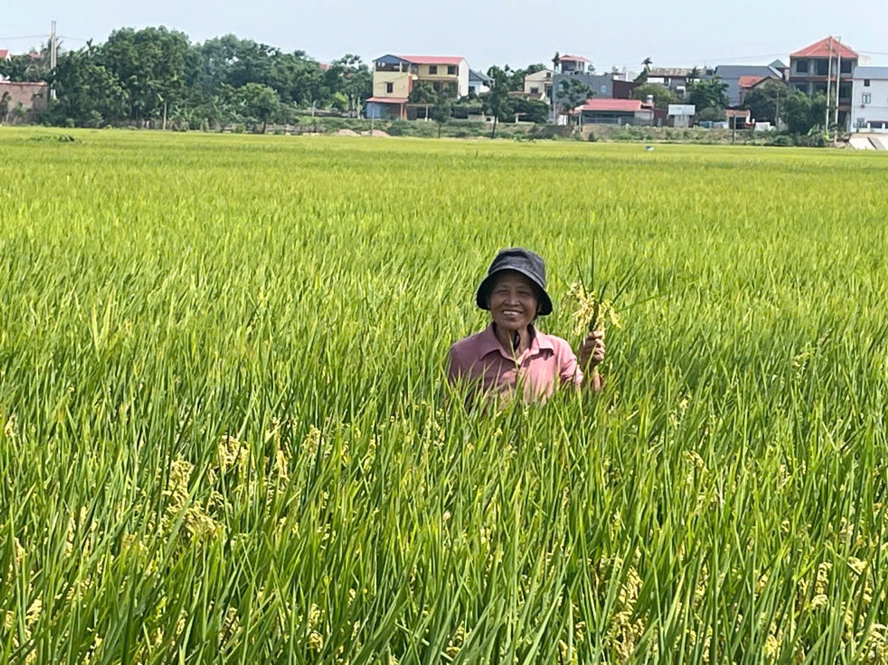 nong-dan-4-6.jpg