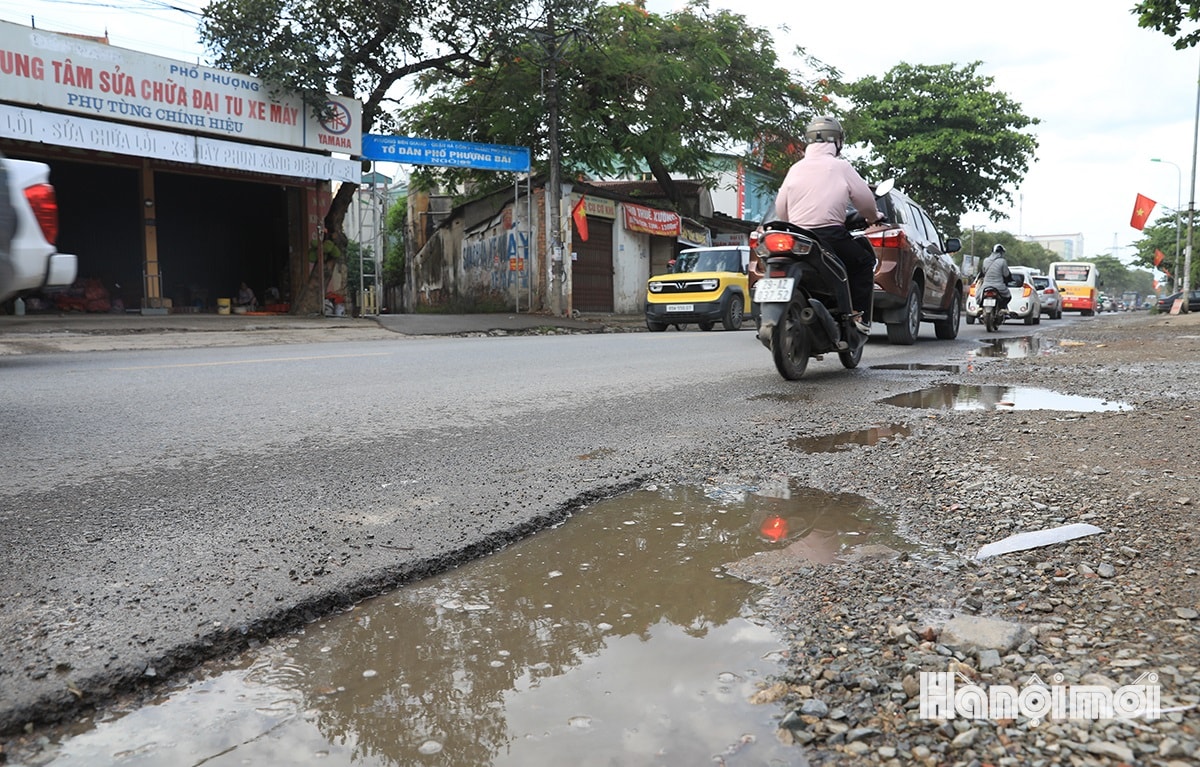 W_quoc-lo-6-10.jpg