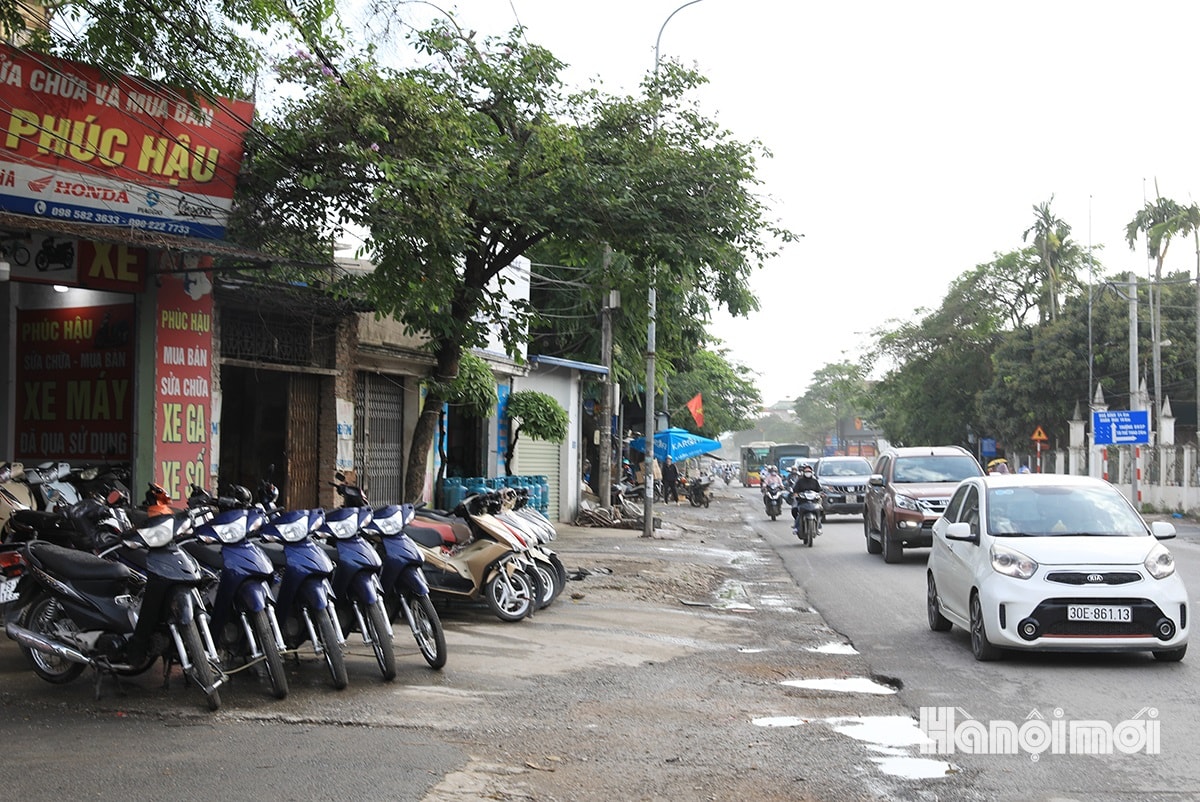 W_quoc-lo-6-11.jpg