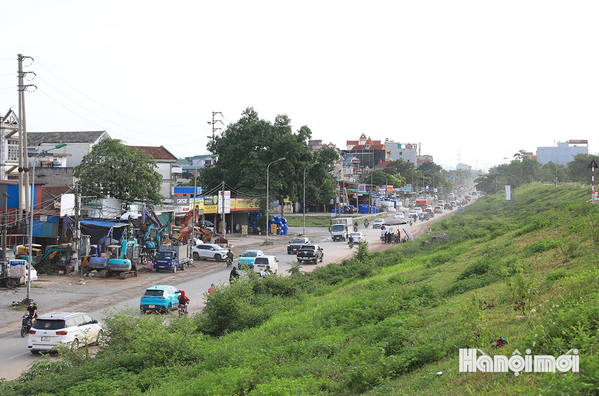 W_quoc-lo-6-12.jpg