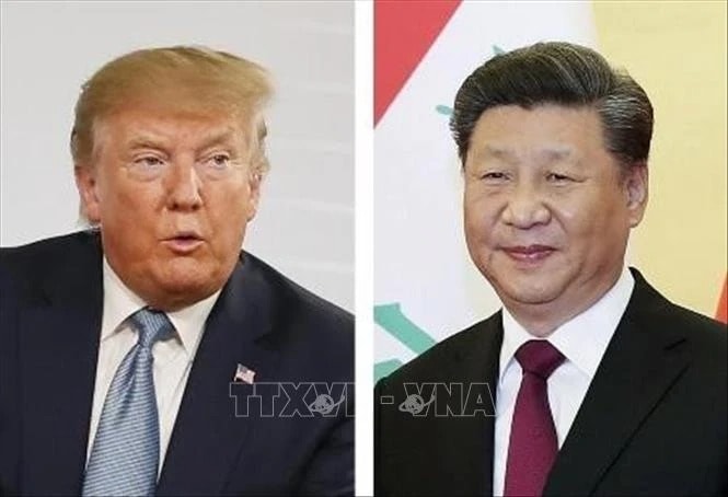 trump-tap.jpg