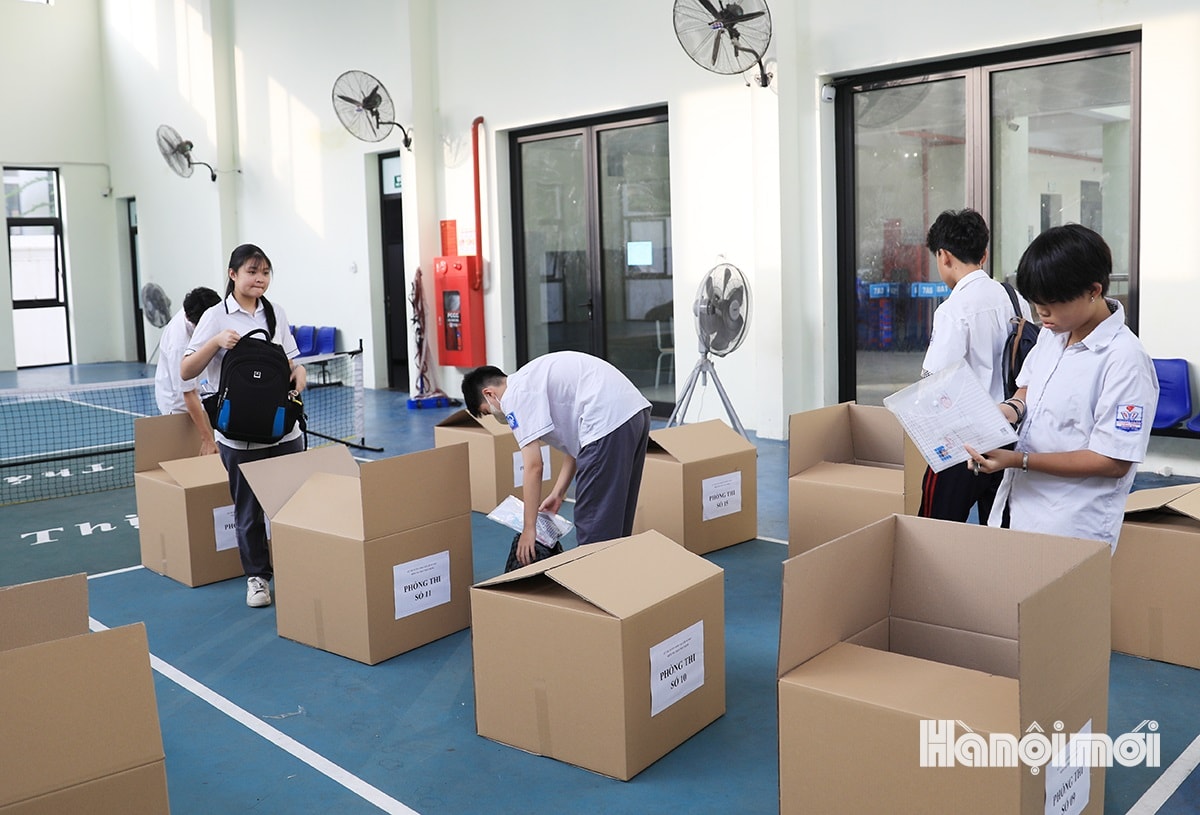 W_thi-mon-ngu-van-3.1.jpg