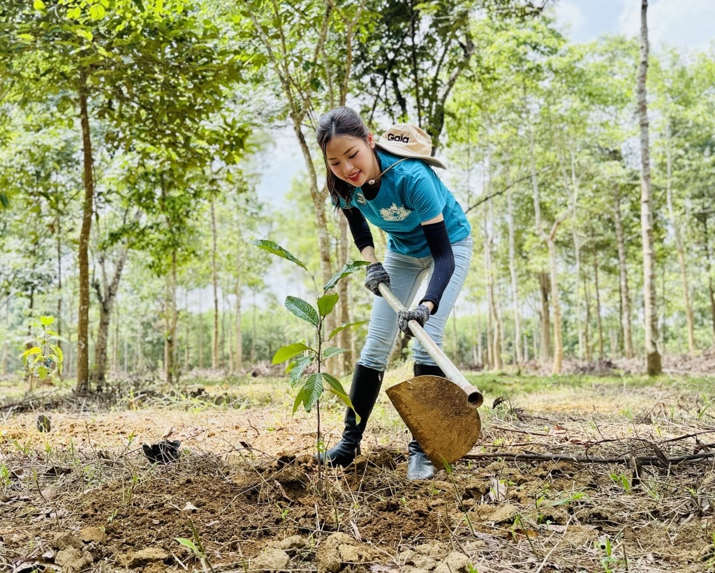 Góp một mầm cây, gieo tương lai xanh Góp một mầm cây, gieo tương lai xanh